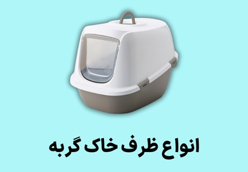 انواع ظرف خاک